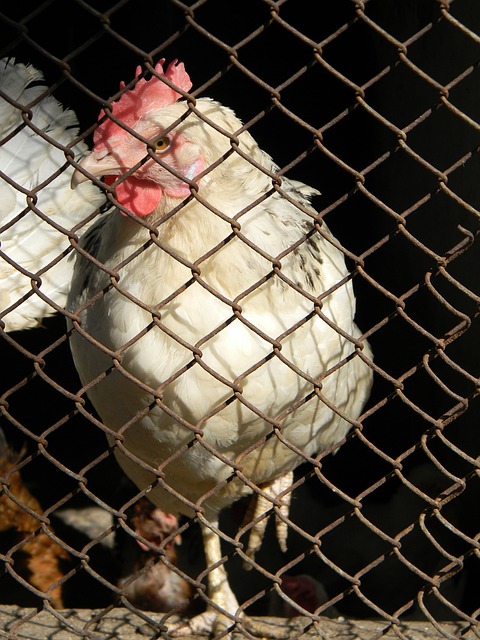 仅仅是一个 仅仅是一个