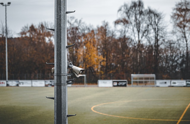 他们若能发 他们若能发