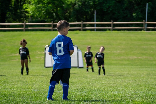 盛会上展现 盛会上展现