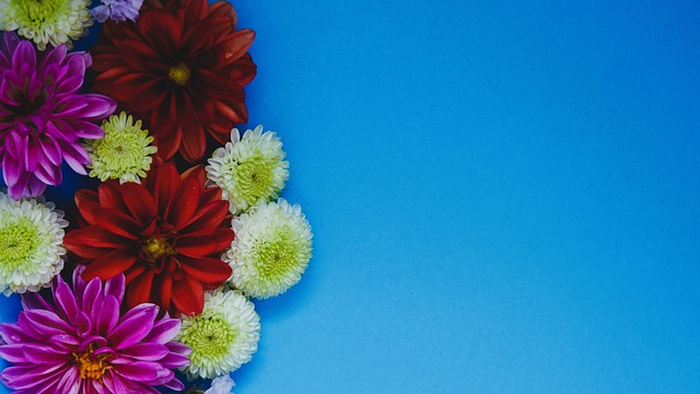 的指导下 的指导下