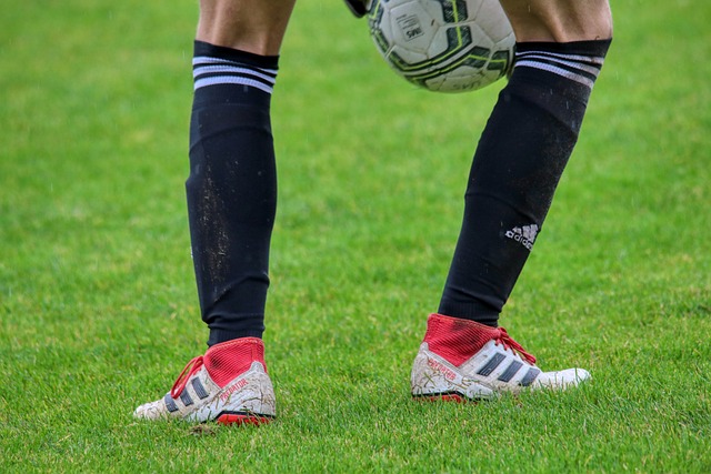 逝的天才故 逝的天才故