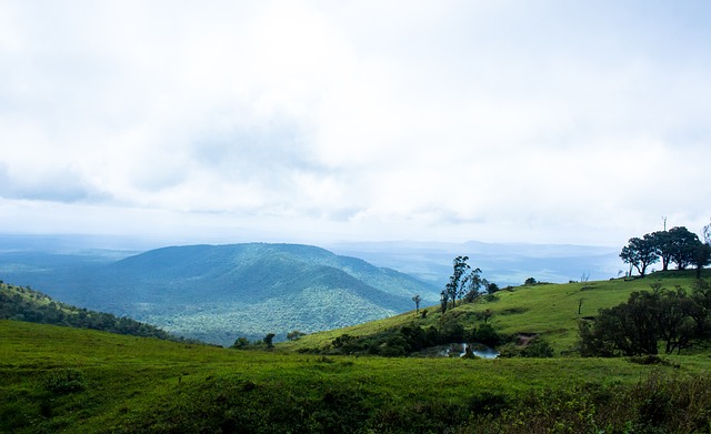 曼联不能陷 曼联不能陷